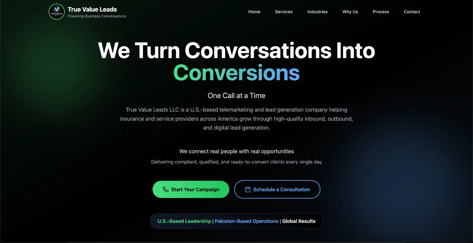 TrueValueLeads — project screenshot and case study